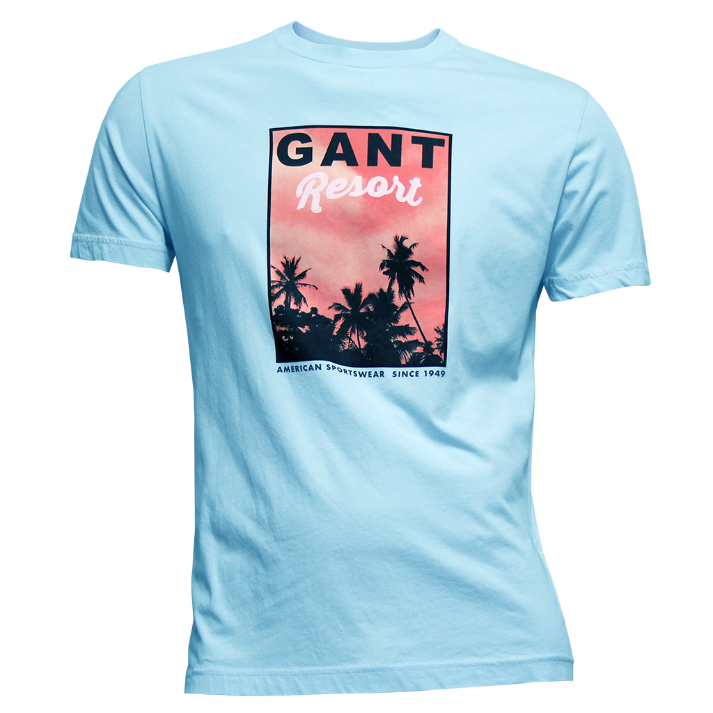Gant Washed Graphic T-Shirt Blue