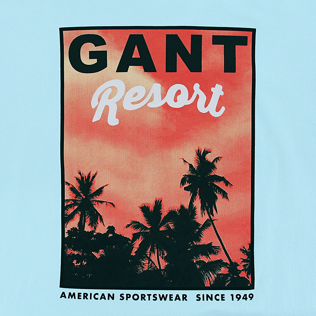 Gant Washed Graphic T-Shirt Blue