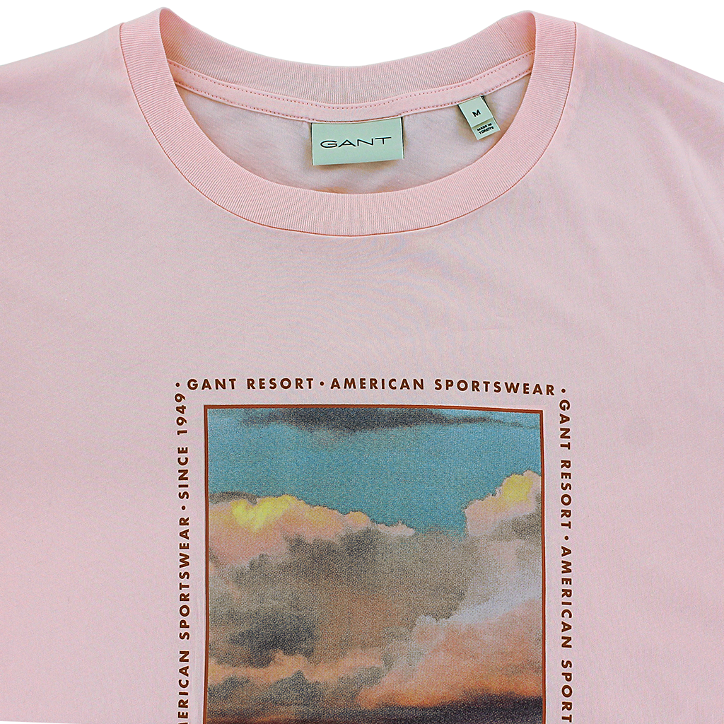 Gant Washed Graphic T-Shirt Pink