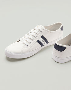 Crew White Dylan Trainers
