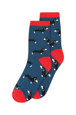 Load image into Gallery viewer, Sausage Dog Socks
