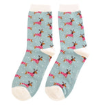 Load image into Gallery viewer, Miss Sparrow Christmas Sausage Dog Socks
