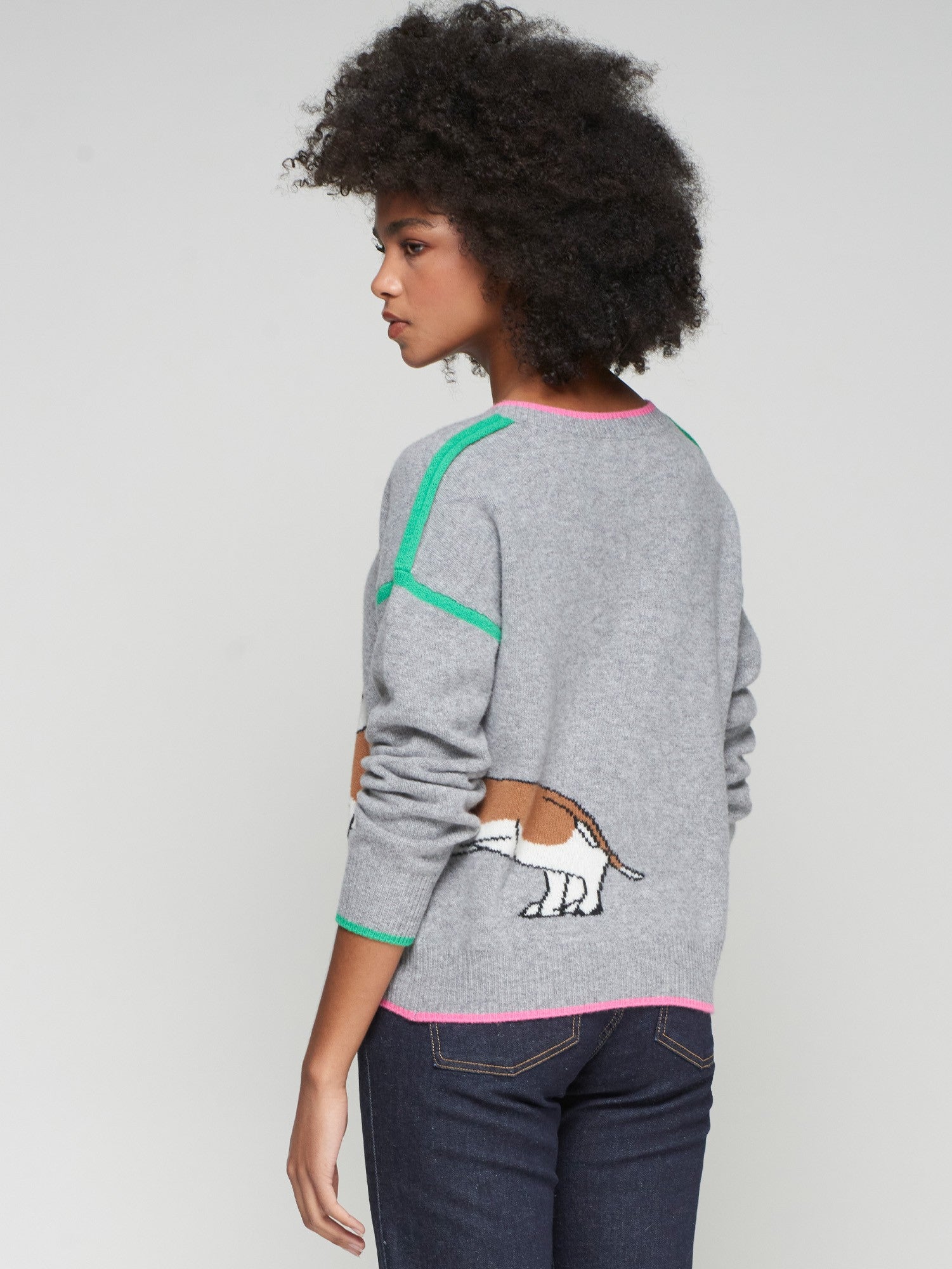 Grey Dachshund Jumper