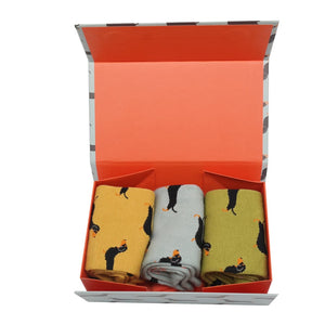 Sausage Dog Socks Box