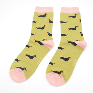 Sausage Dog Socks Box