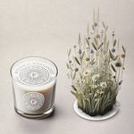 Load image into Gallery viewer, Christmas Star Mini Candle
