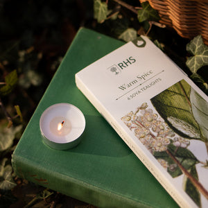 RHS Heritage Warm Spice Tealights