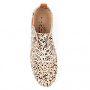 Pebble St. Ives Plimsoll