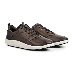 Whiskey Archetti Nico Trainer