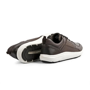 Whiskey Archetti Nico Trainer
