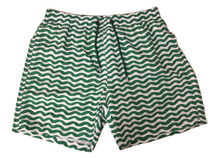 Seaspray Emerald Swim Shorts