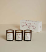 Load image into Gallery viewer, Plum &amp; Ashby Christmas Votive Set
