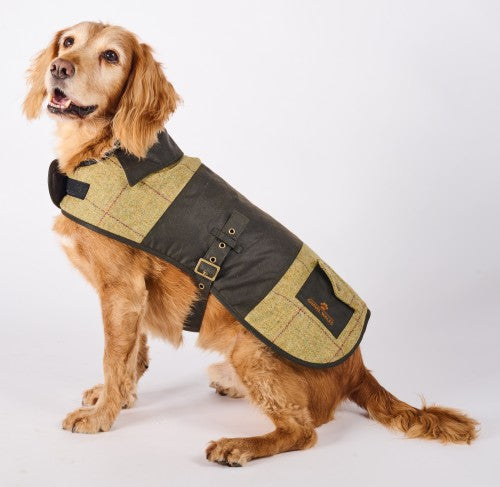 Baxter Dog Coat Medium