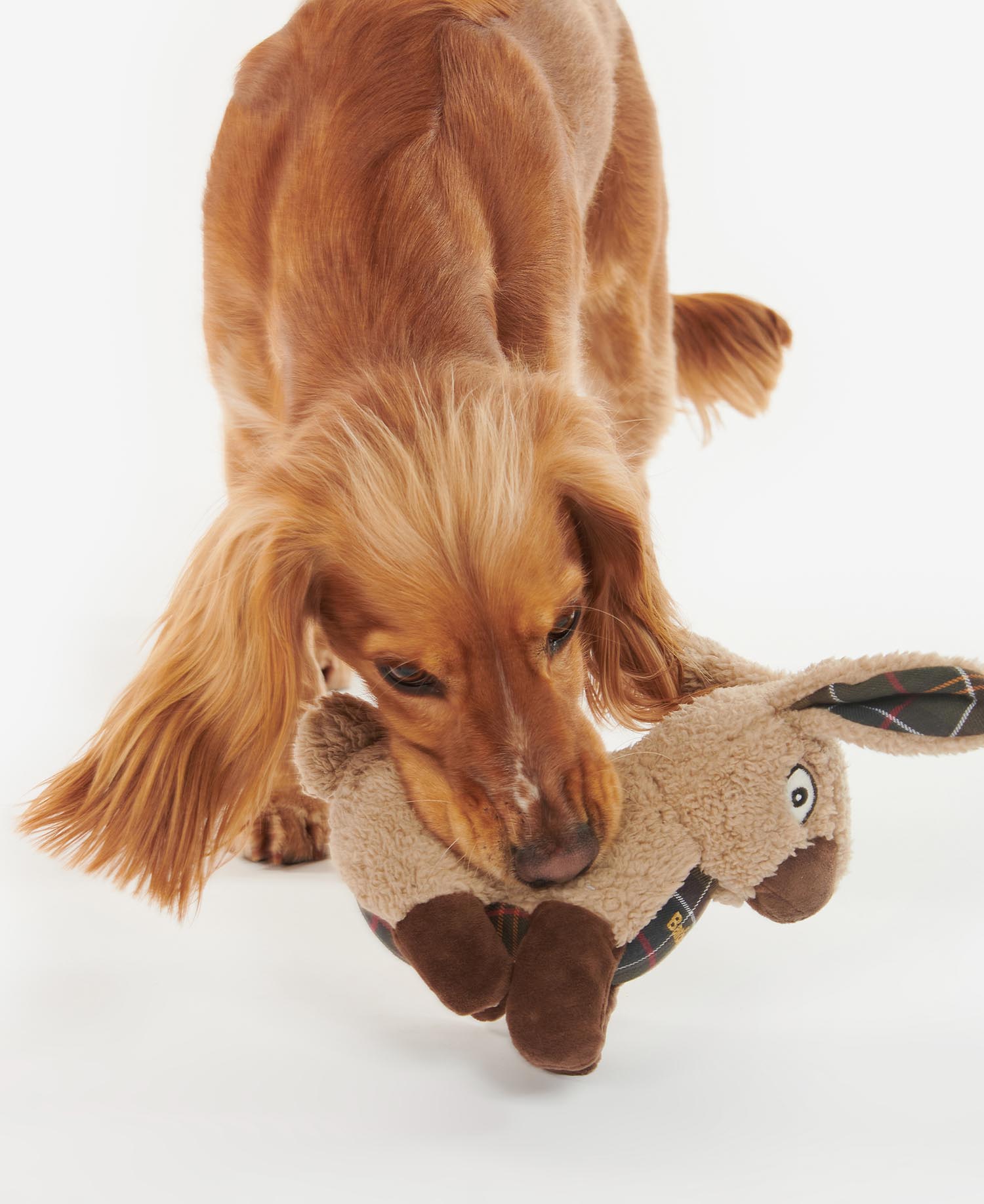 Barbour Rabbit Dog Toy