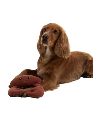 Crab Dog Toy