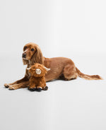 Load image into Gallery viewer, Highland Cow Dog Toy
