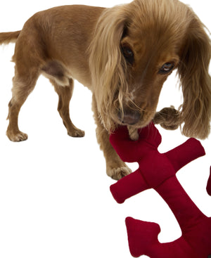 Anchor Dog Toy