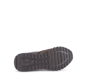 Brown Harp Trainers