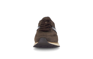 Brown Harp Trainers