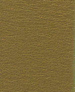 Load image into Gallery viewer, Olive Allanton Leather Belt
