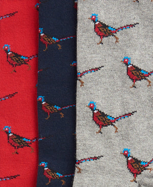 Pheasant Socks Gift Set