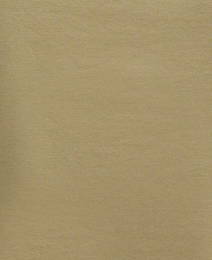 Olive Hylton Polo Shirt