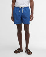 Load image into Gallery viewer, Blue Swim Shorts
