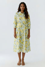Load image into Gallery viewer, Light Green Yellow Dress
