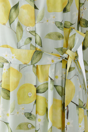 Light Green Yellow Dress