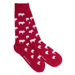 Swole Panda Bamboo Barn Box Socks