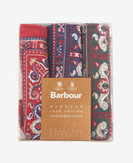 Load image into Gallery viewer, Barbour Paisley Handkerchiefs Gift Box Set
