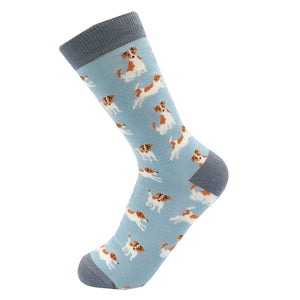 Miss Sparrow Jack Russell Socks
